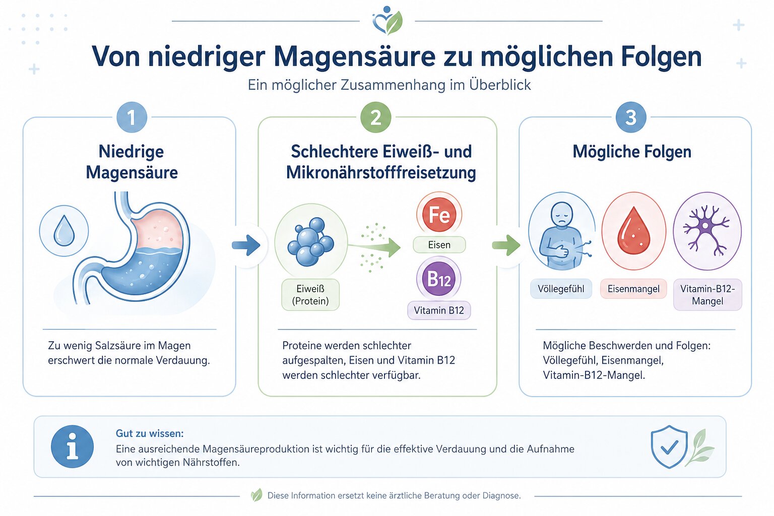 Infografik mit drei verbundenen Stationen: niedrige Magensäure, schlechtere Eiweiß- und Mikronährstofffreisetzung, mögliche Folgen wie Völlegefühl, Eisenmangel und Vitamin-B12-Mangel, klare Icons, medizinisch seriös, helle Symphysio-Farbwelt